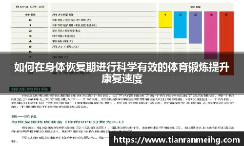 如何在身体恢复期进行科学有效的体育锻炼提升康复速度